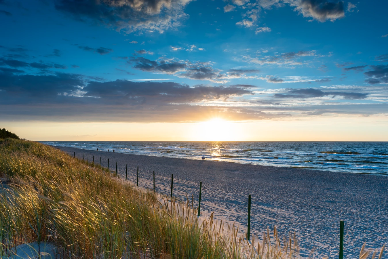 trawa-z-rolki-kiedy-mozna-chodzic-1