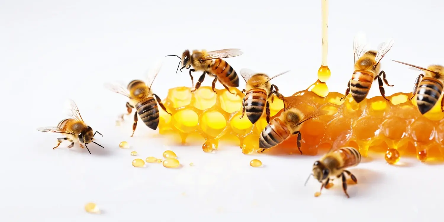 miod-wrzosowy-jaki-ma-kolor-1