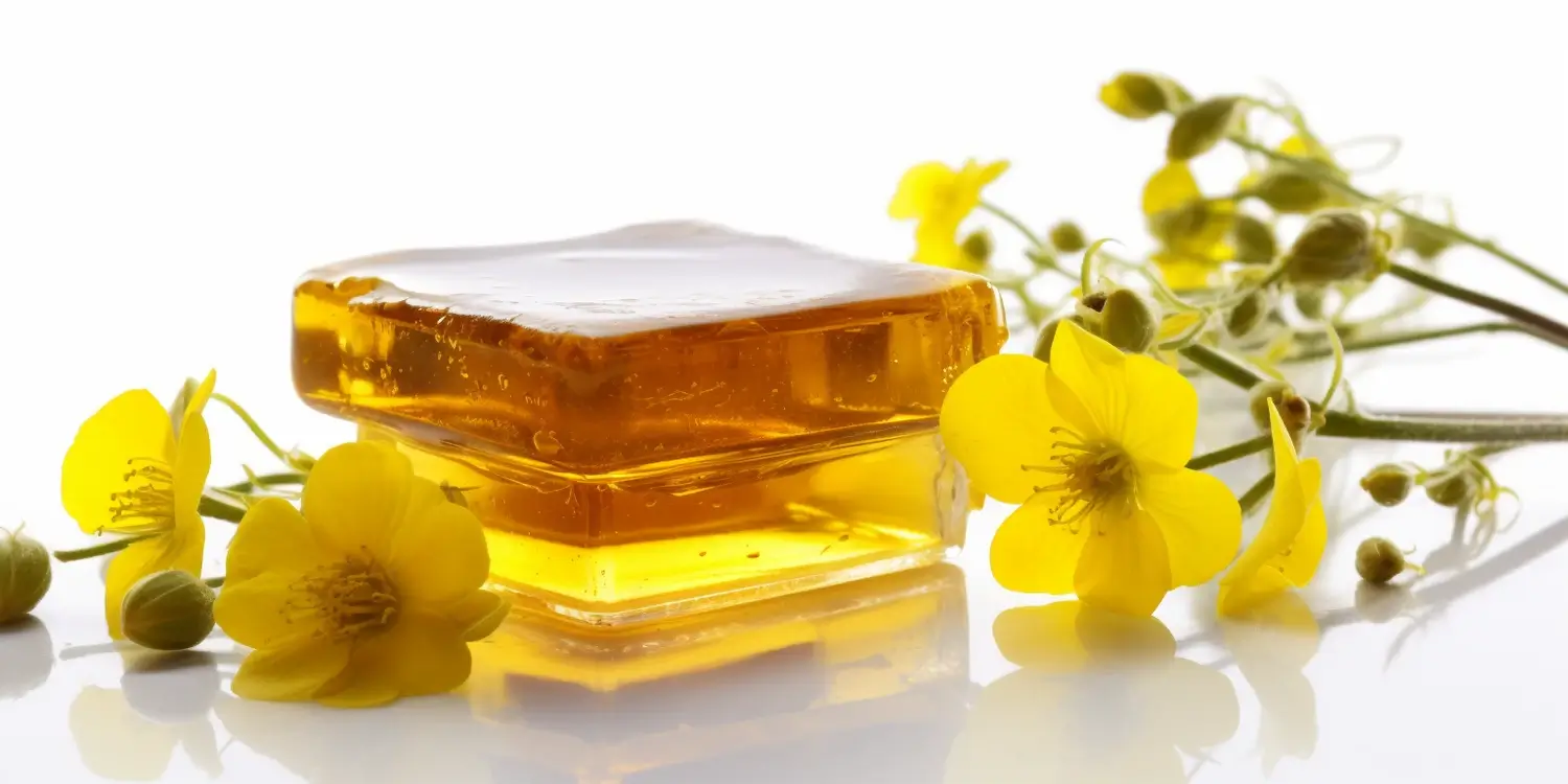 Jakie właściwości ma miód rzepakowy?