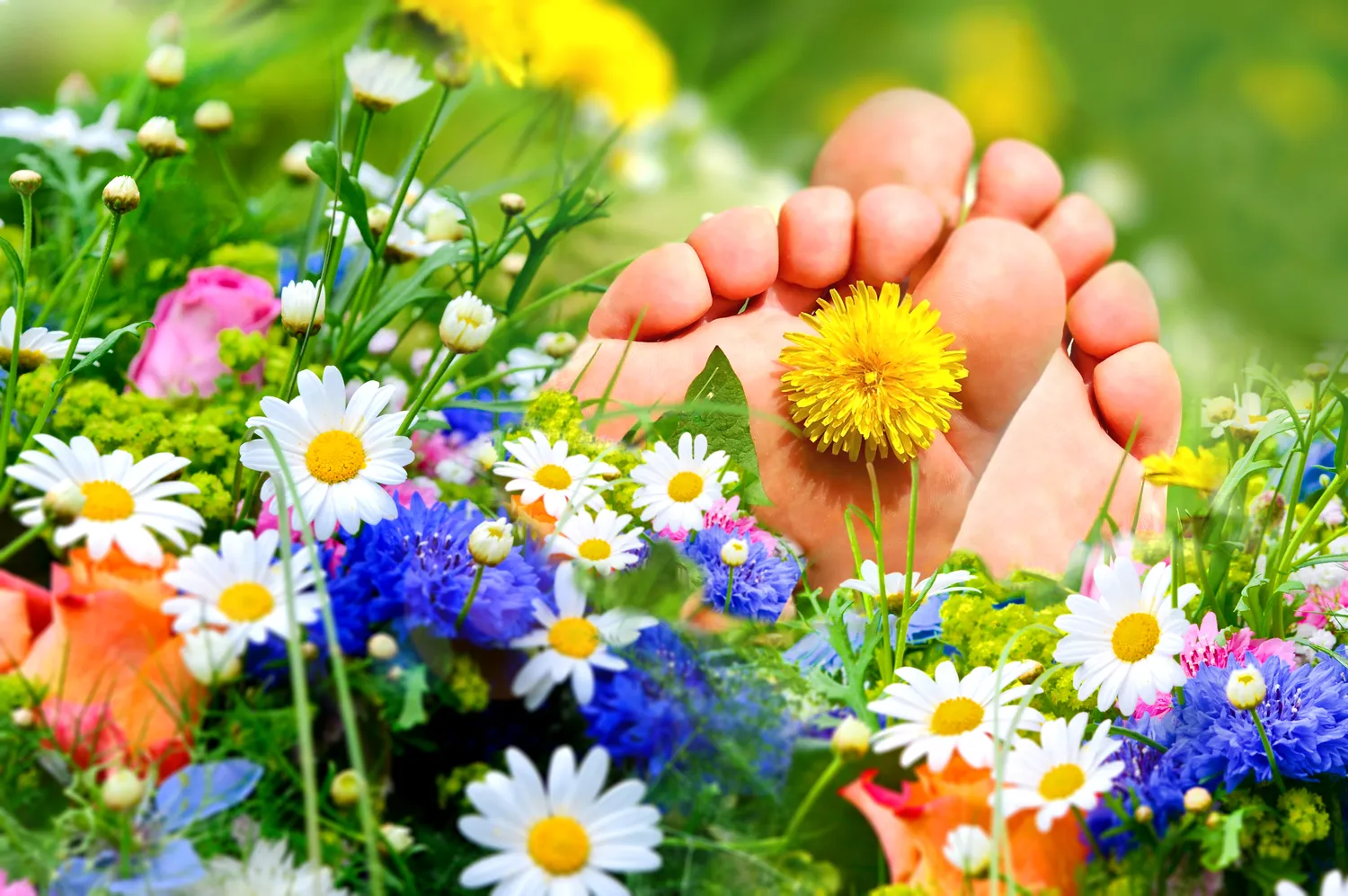 podologia-co-to-jest-f